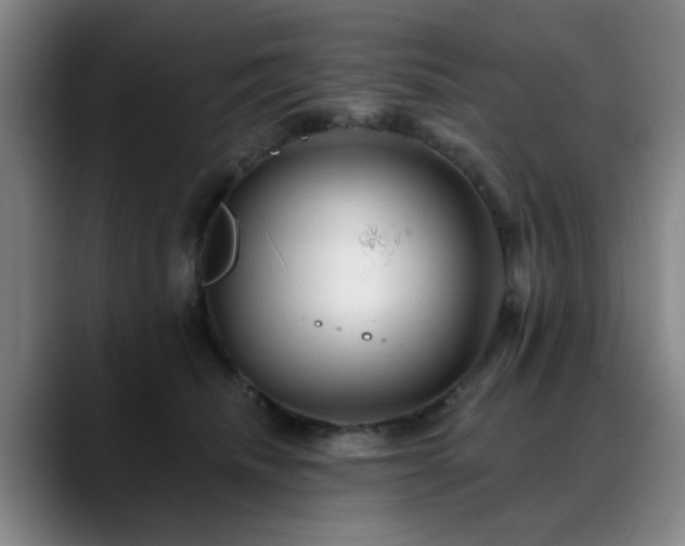 X0000088860468200706151739