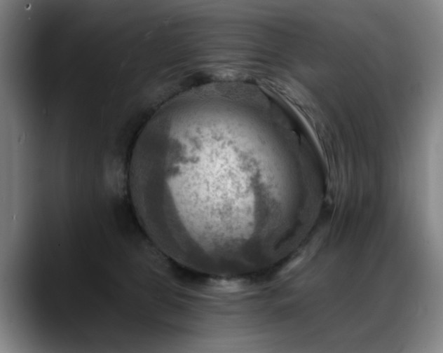 X0000088860469200706151739