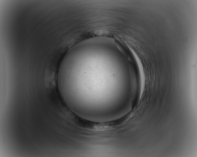X0000088860470200706151739