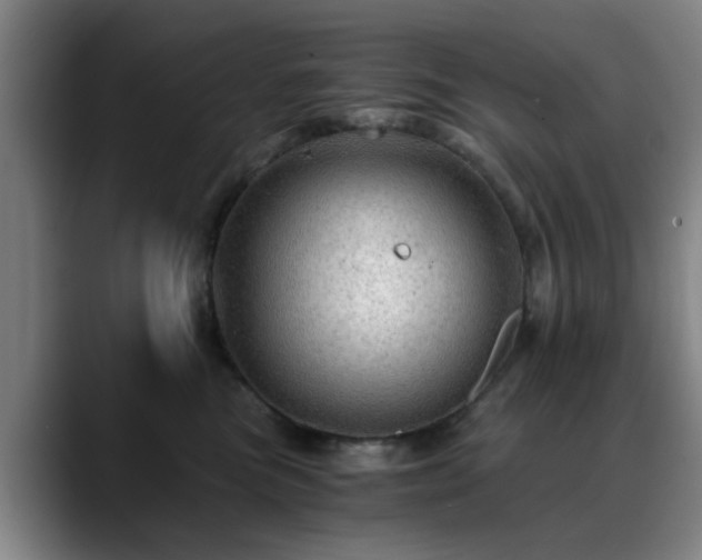 X0000088860473200706151739