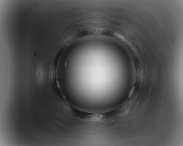 X0000088860474200706151739