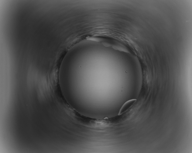 X0000088860475200706151739