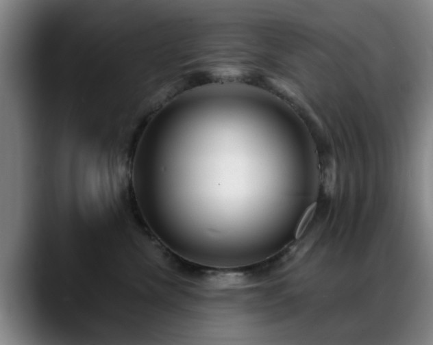 X0000088860476200706151739
