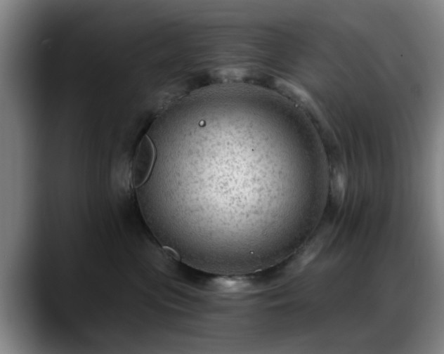 X0000088860477200706151739