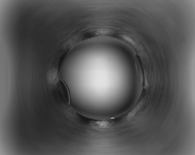 X0000088860478200706151739