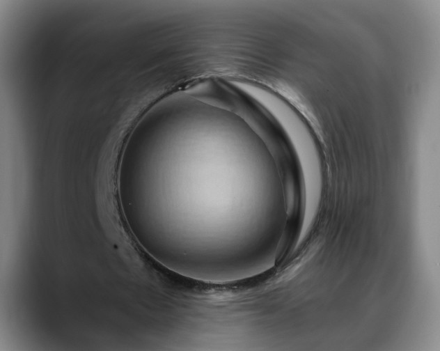 X0000088860481200706151738