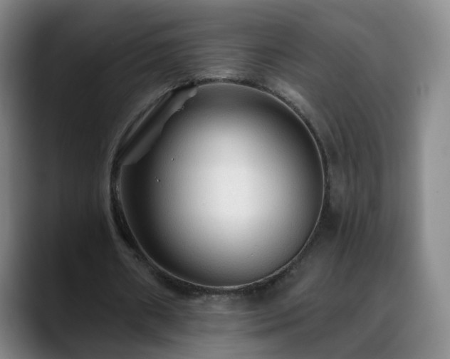 X0000088860482200706151738