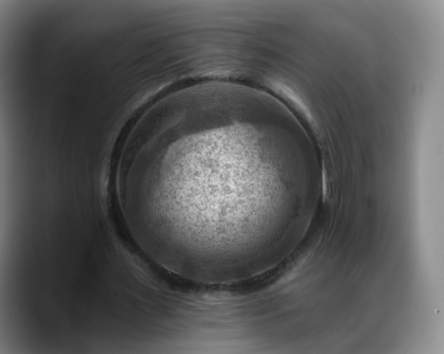 X0000088860483200706151738