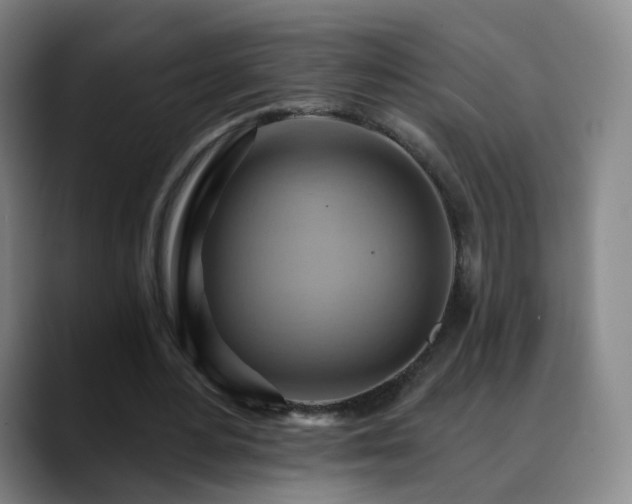 X0000088860484200706151738