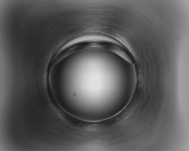 X0000088860485200706151738