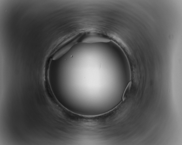 X0000088860486200706151738
