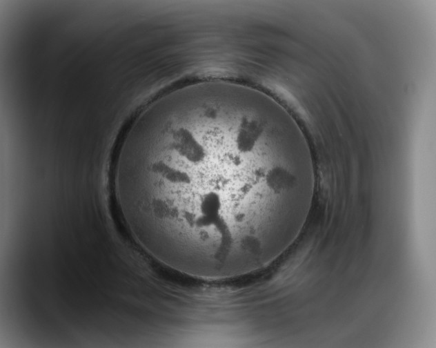 X0000088860487200706151738
