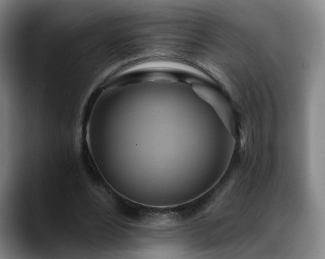 X0000088860488200706151738