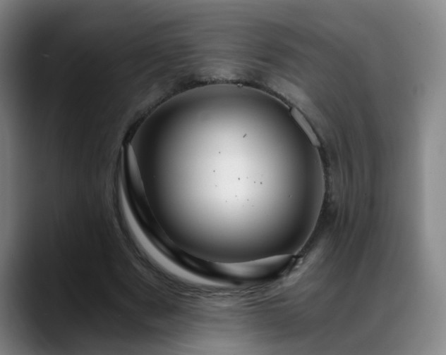X0000088860489200706151738
