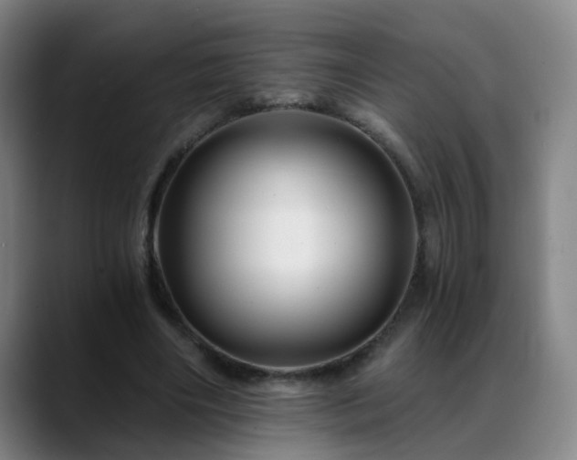X0000088860490200706151738