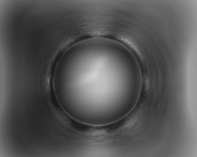 X0000088860491200706151738