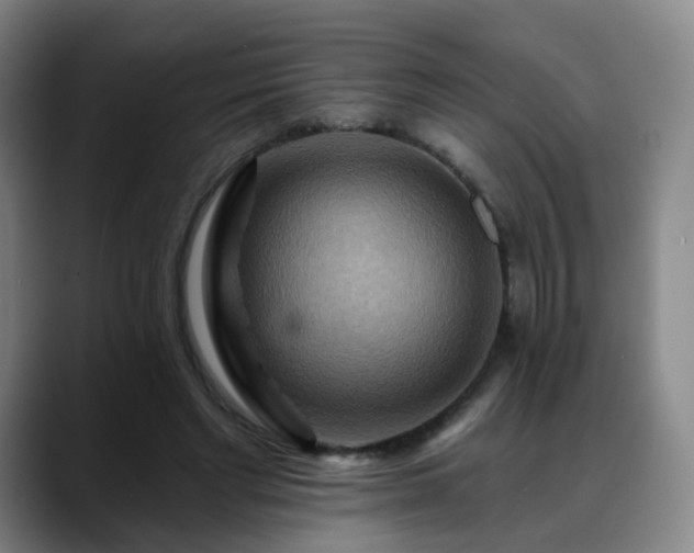 X0000088860493200706151738