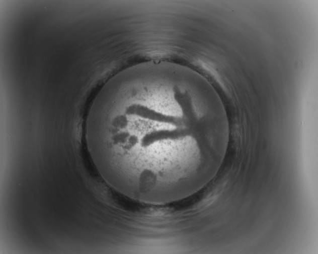 X0000088860495200706151738