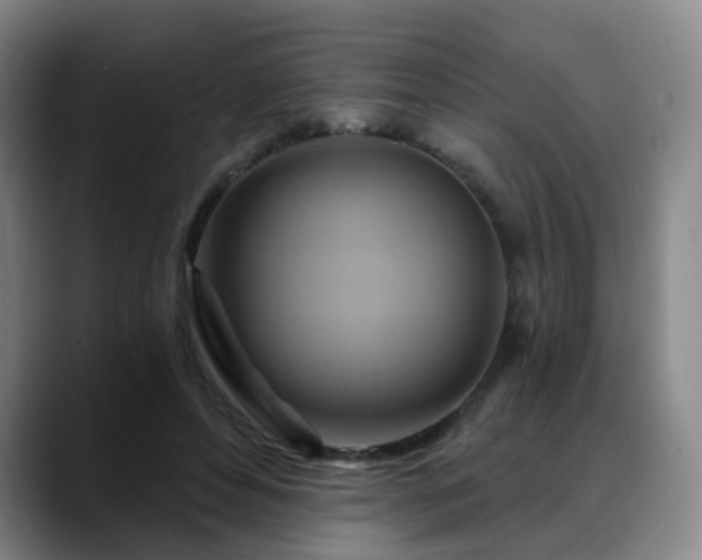 X0000088860496200706151738