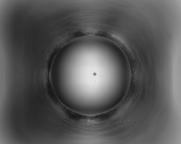 X0000088860498200706151738