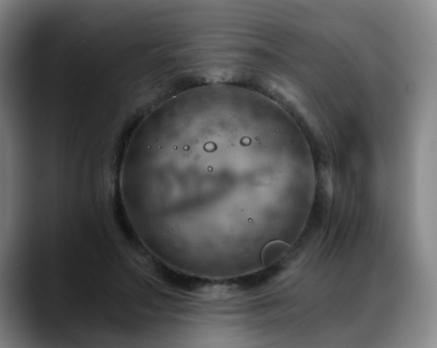 X0000088860499200706151738