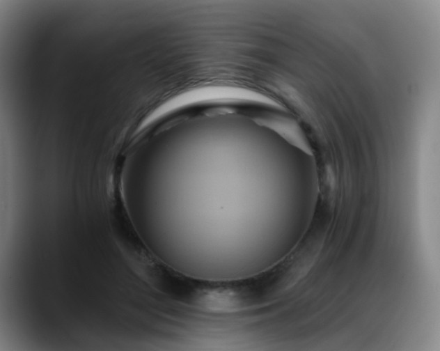 X0000088860500200706151738
