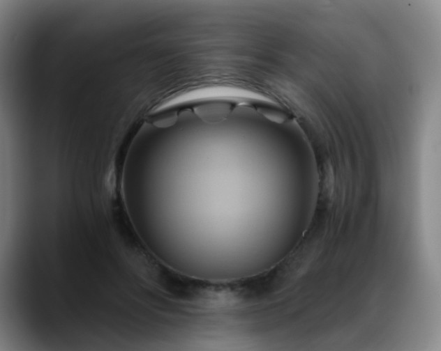 X0000088860502200706151738