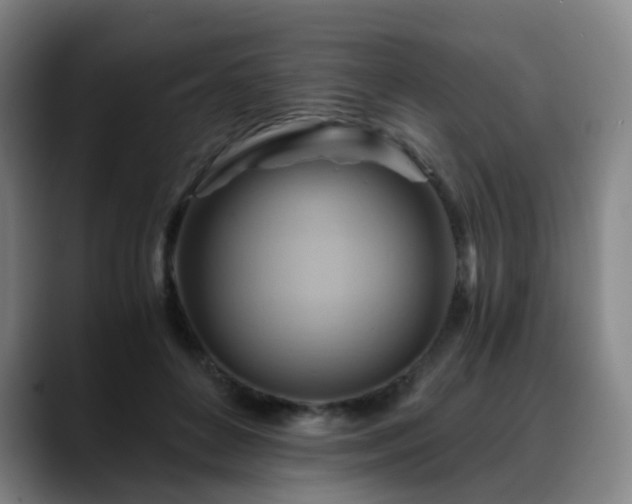 X0000088860504200706151738
