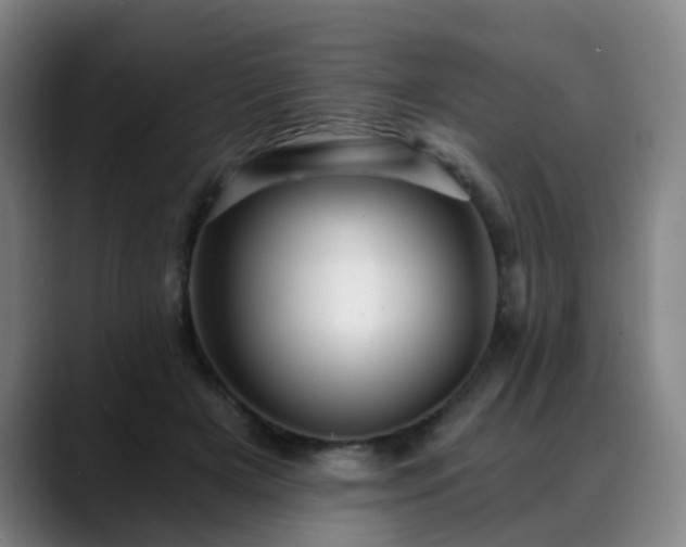 X0000088860505200706151738