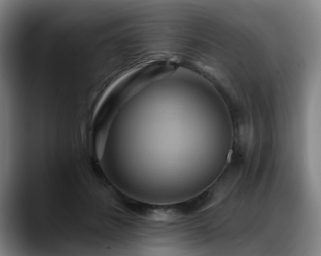 X0000088860508200706151738