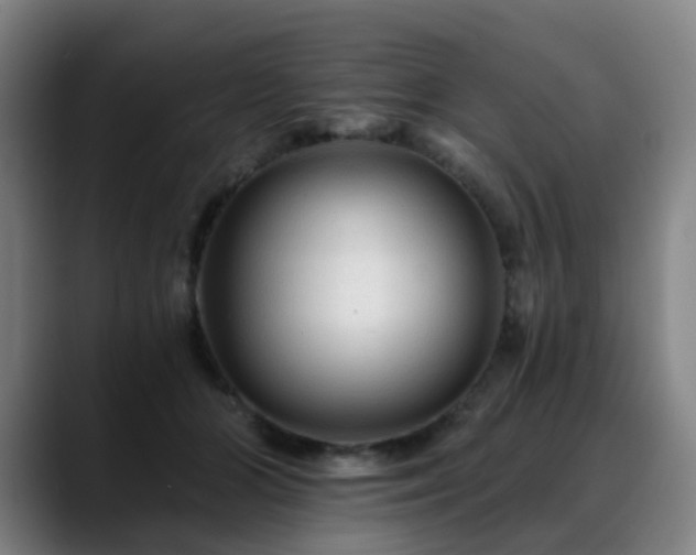 X0000088860510200706151738