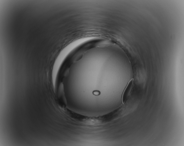X0000088860512200706151738