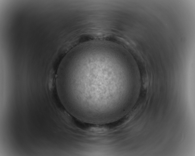 X0000088860515200706151738