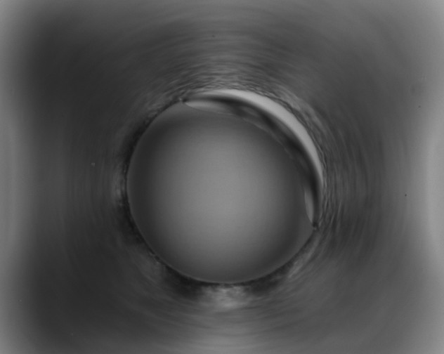 X0000088860517200706151738
