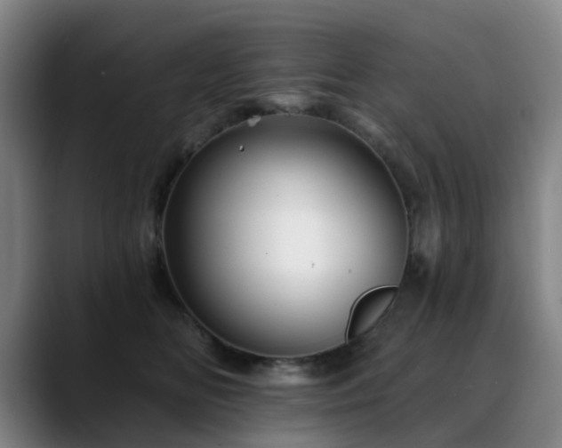 X0000088860518200706151738