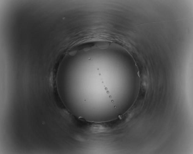 X0000088860519200706151738