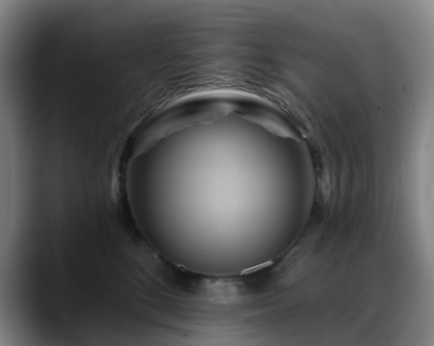 X0000088860520200706151738