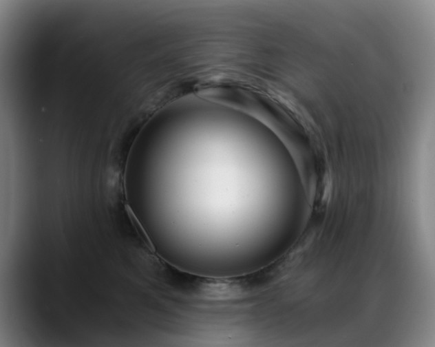 X0000088860521200706151738
