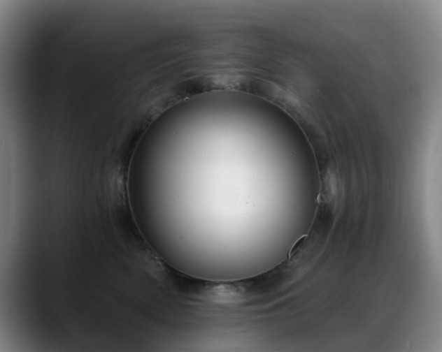 X0000088860522200706151738