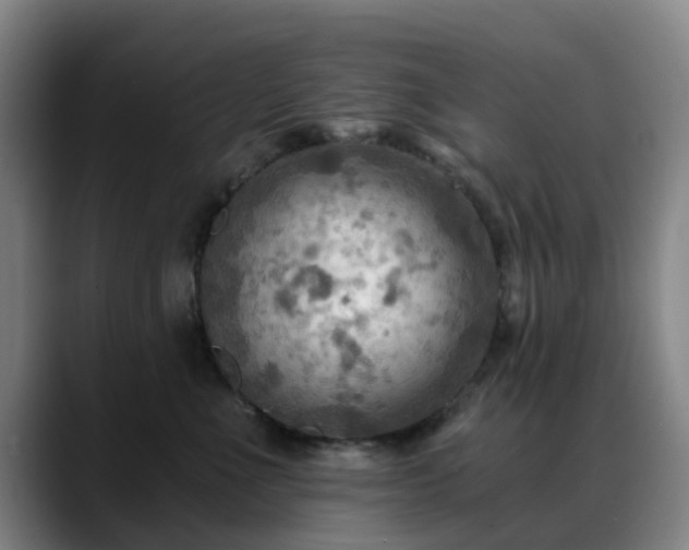 X0000088860523200706151738