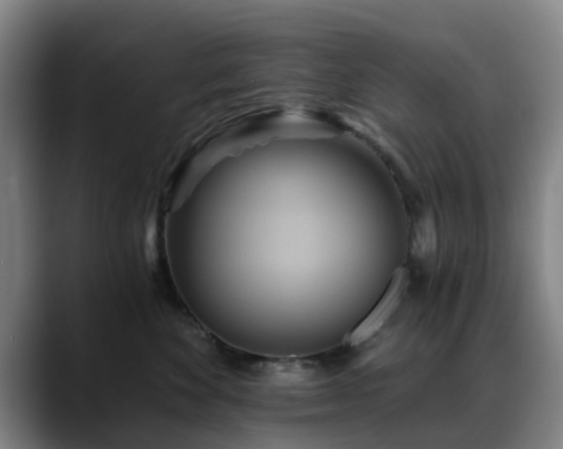 X0000088860524200706151738