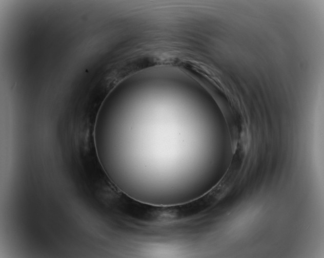 X0000088860525200706151738