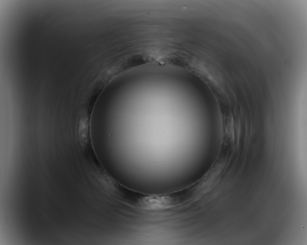 X0000088860526200706151738