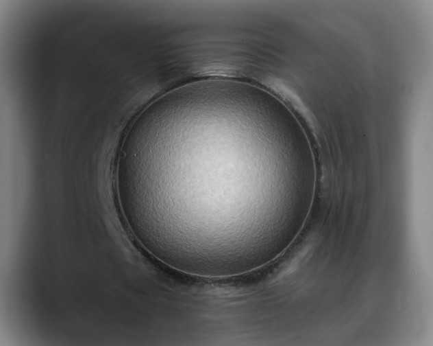 X0000088860529200706151737