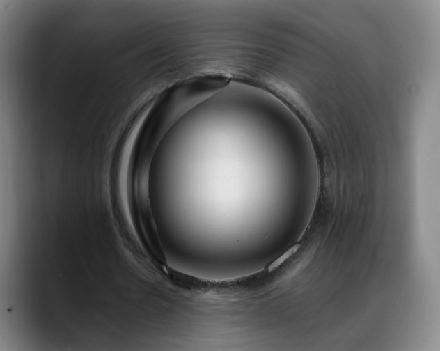 X0000088860530200706151737