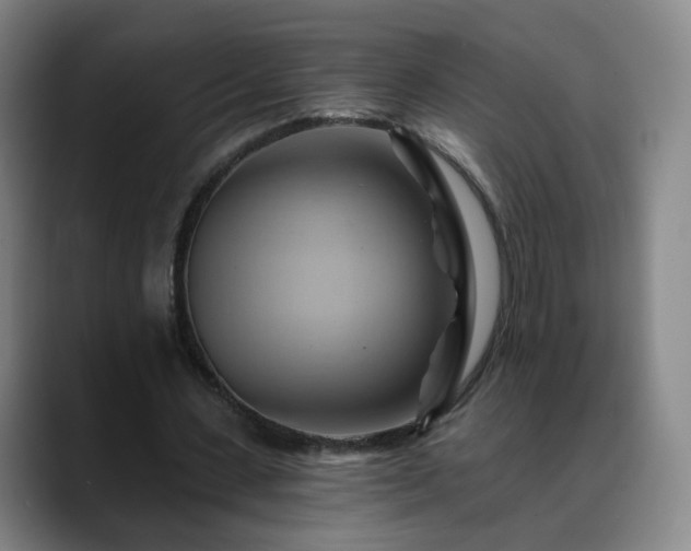 X0000088860531200706151737