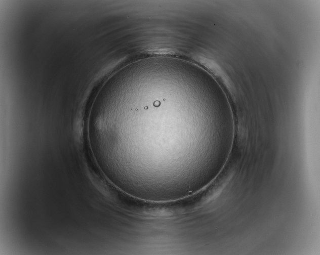 X0000088860533200706151737