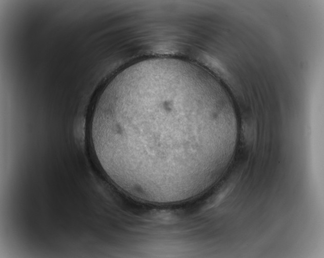 X0000088860534200706151737