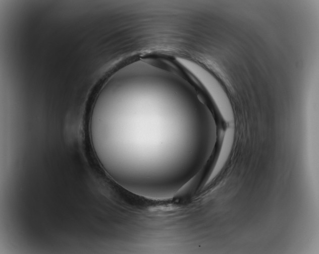 X0000088860536200706151737