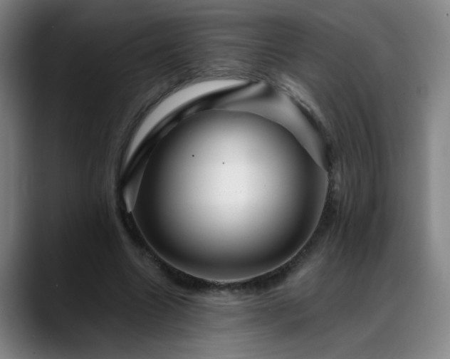 X0000088860538200706151737